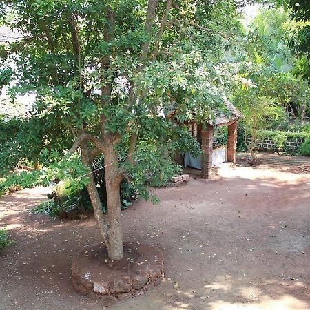 ホテルCancio'S House Aldona エクステリア 写真